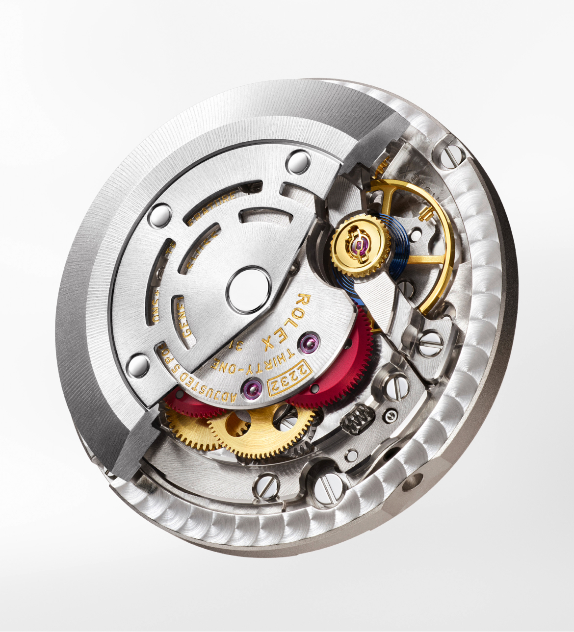 Rolex Oyster Perpetual 28 & 34  | A new golden age