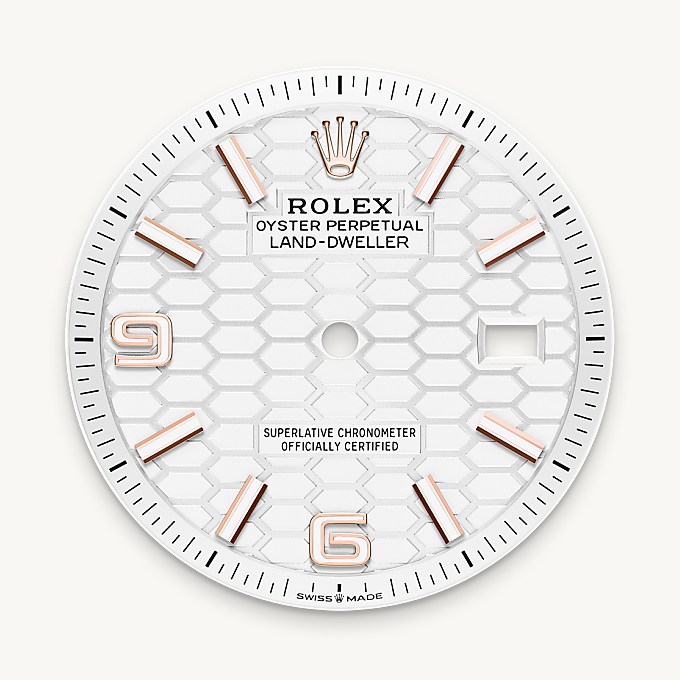 Rolex Land-Dweller 36, Intense white dial
