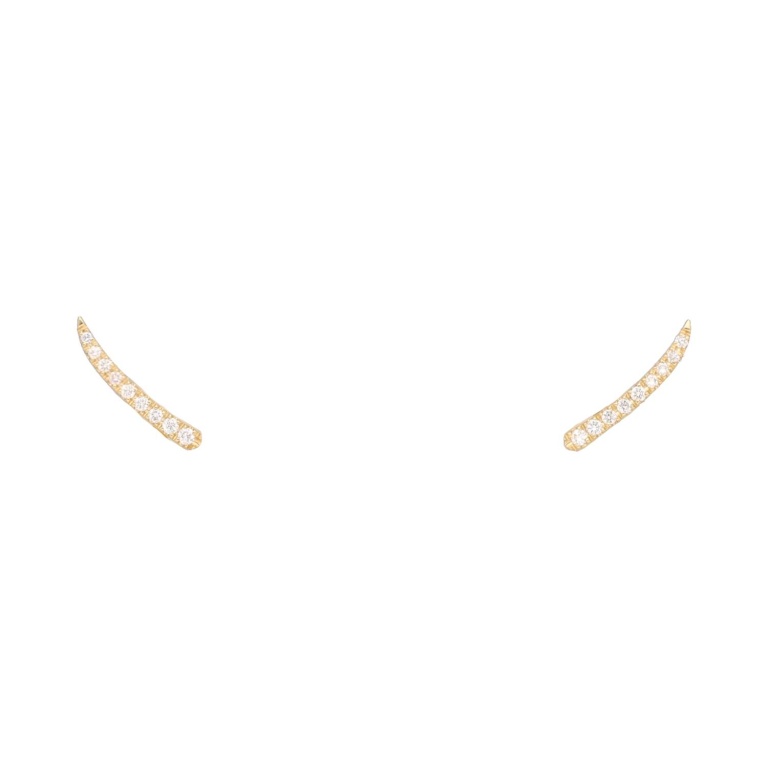 Yellow Gold Earrings