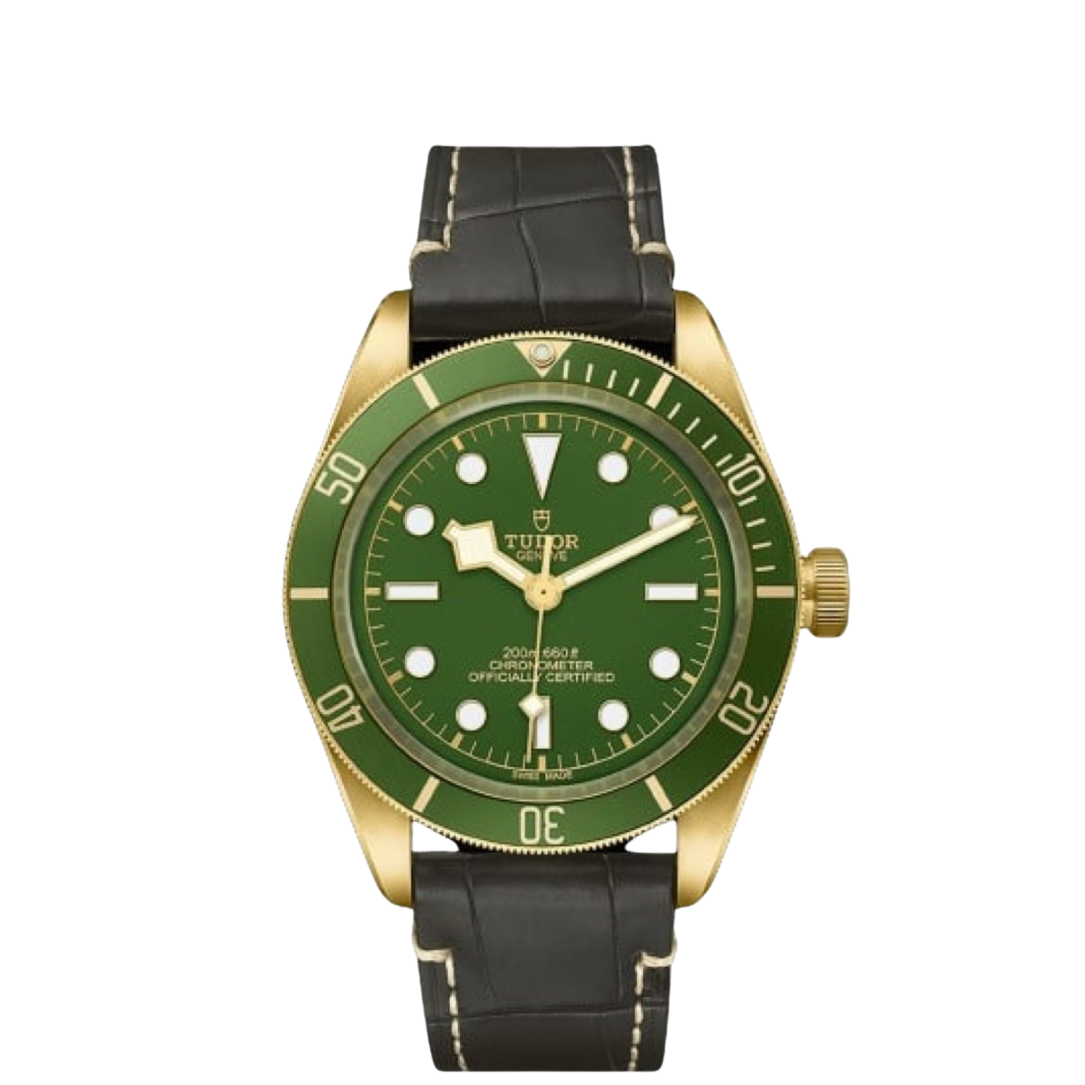 Tudor Black Bay verde oro 18k
