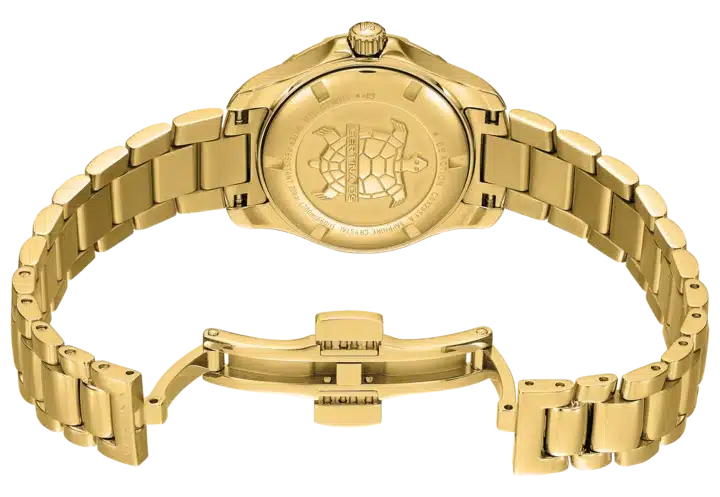 C032.951.33.111.00_buckle