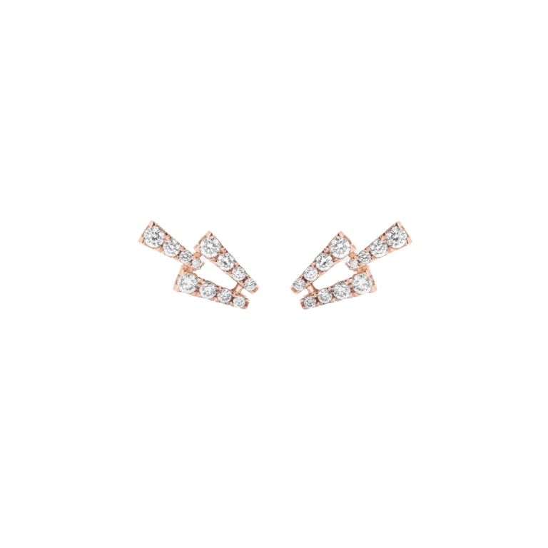Rose Gold Earrings