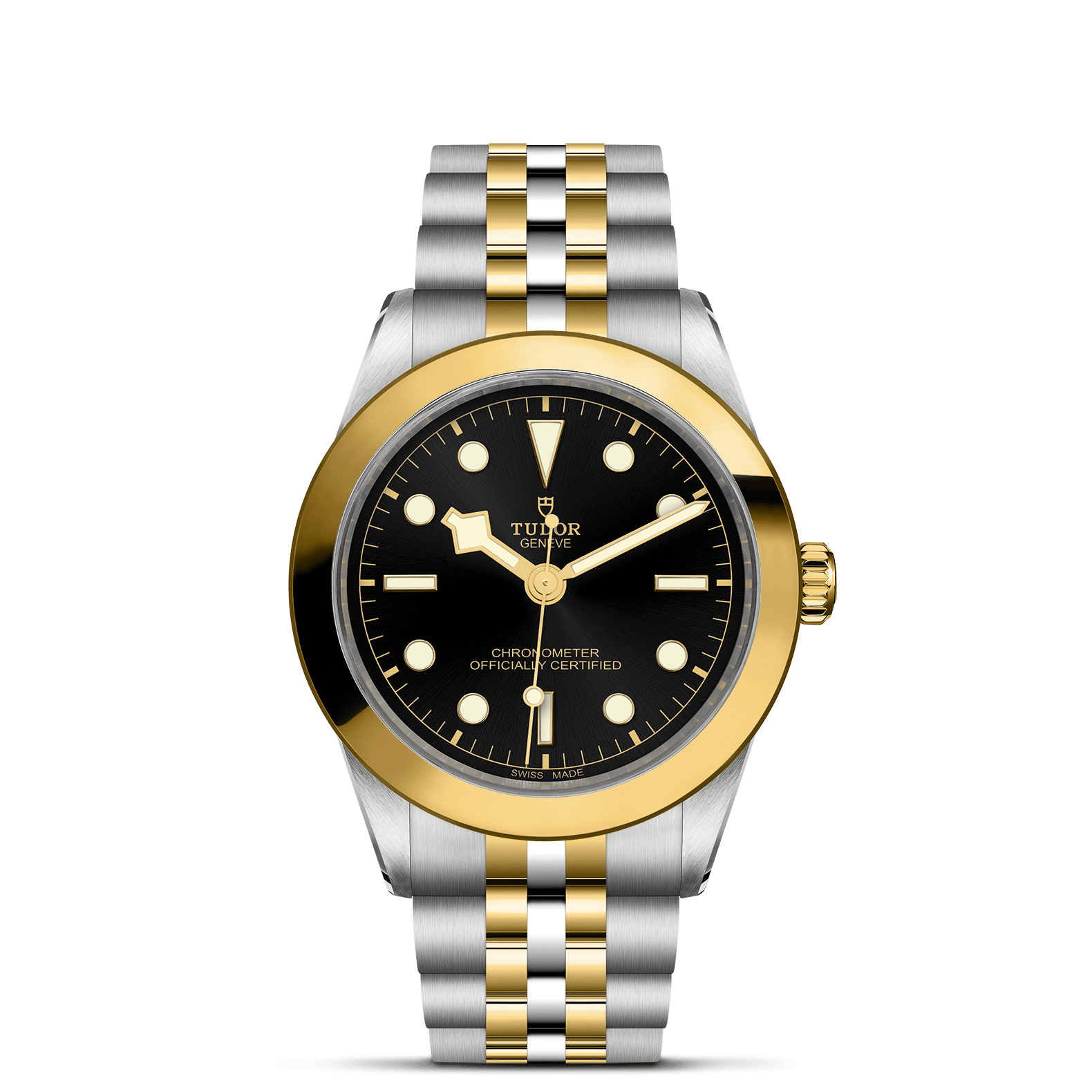 Reloj TUDOR Black Bay 39 S&G