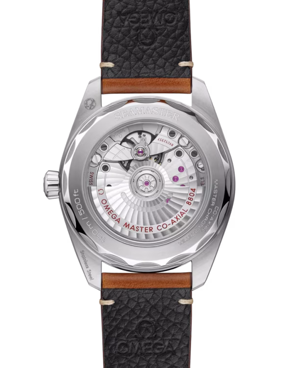 omega-seamaster-railmaster-co-axial-master-chronometer-small-seconds-38-mm-23512382013001-portrait-1-470558