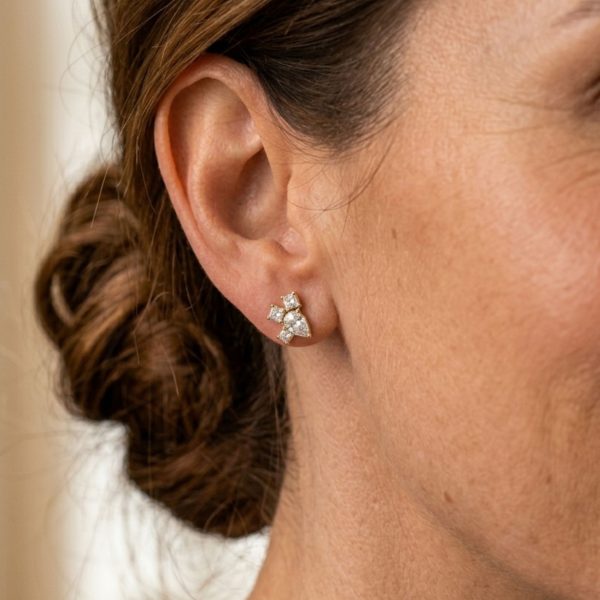 Oreja con pendientes