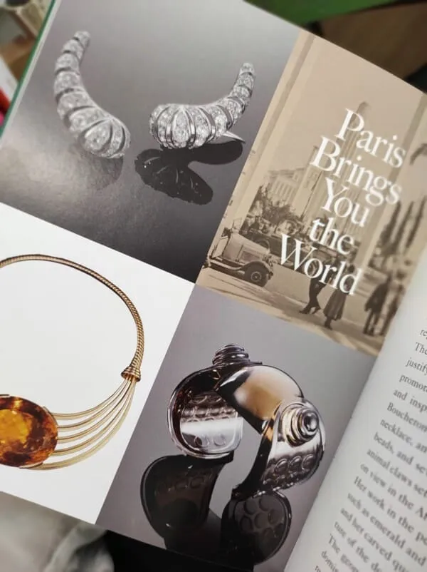 The book Jewels that made History, by Stellene Volandes, as a proposal for books on jewelry